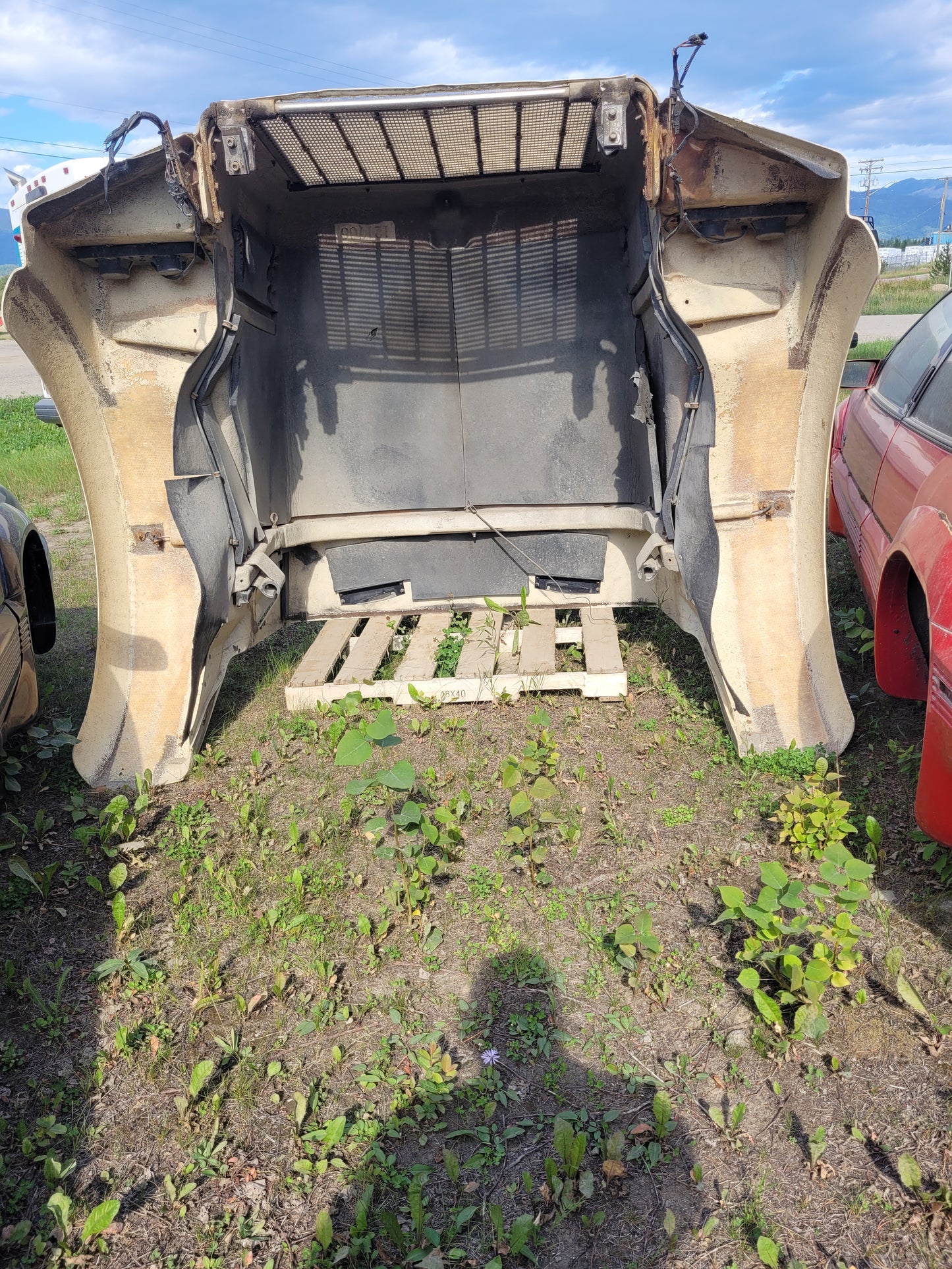 2002 Kenworth Hood