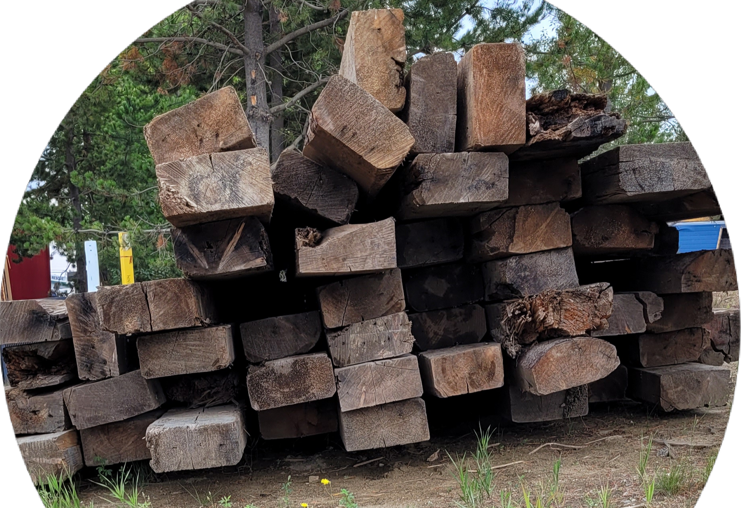 Air Cured Pine Rough Cut Lumber, per foot