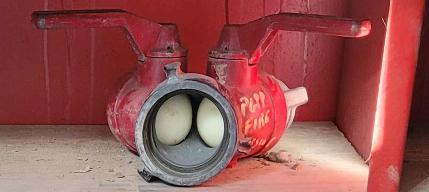 Firehose Splitter w/ Ball Valves