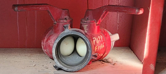 Firehose Splitter w/ Ball Valves
