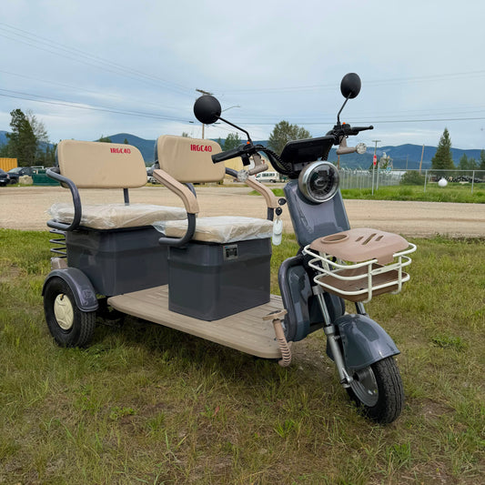 ELECTRIC TRIKE
