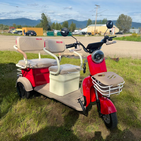 ELECTRIC TRIKE